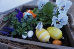 Besinnliche Kar- und frohe Ostertage!