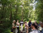 Flurgang - "&Ouml;kologischer Wald in Margetsh&ouml;chheim"