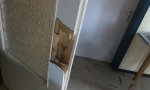 Vandalismus in den R&auml;umen des Jugendkonvent im Kloster